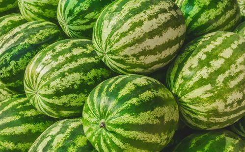 中山网红吃瓜群叫什么,揭秘背后故事与热门话题 第1张 中山网红吃瓜群叫什么,揭秘背后故事与热门话题 第1张